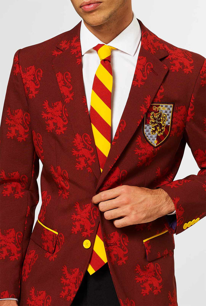 Harry Potter red Gryffindor men's suit worn by man