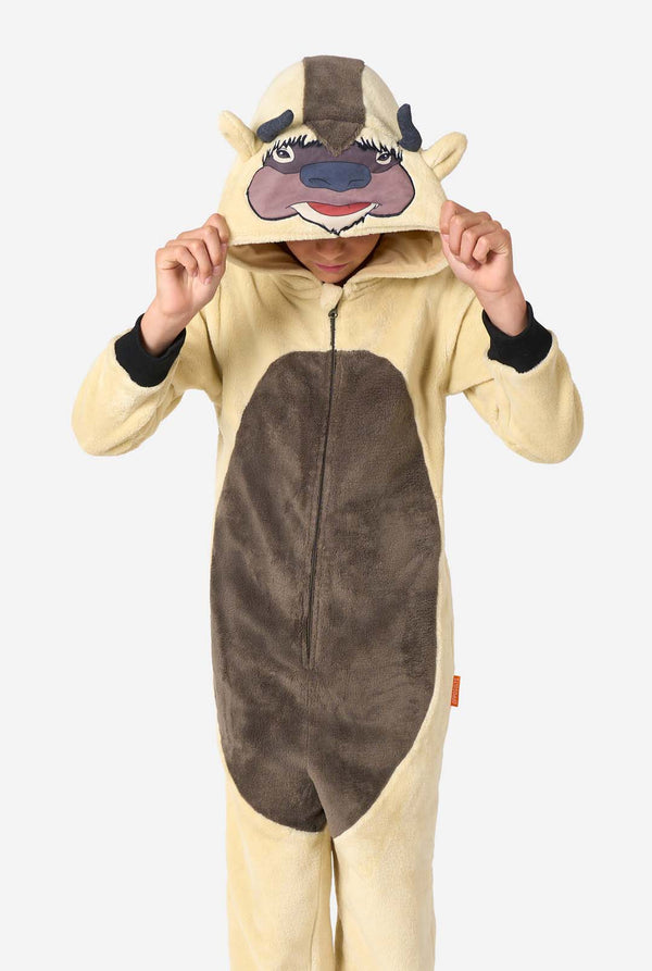 Person wearing a Appa character onesie with a neutral background