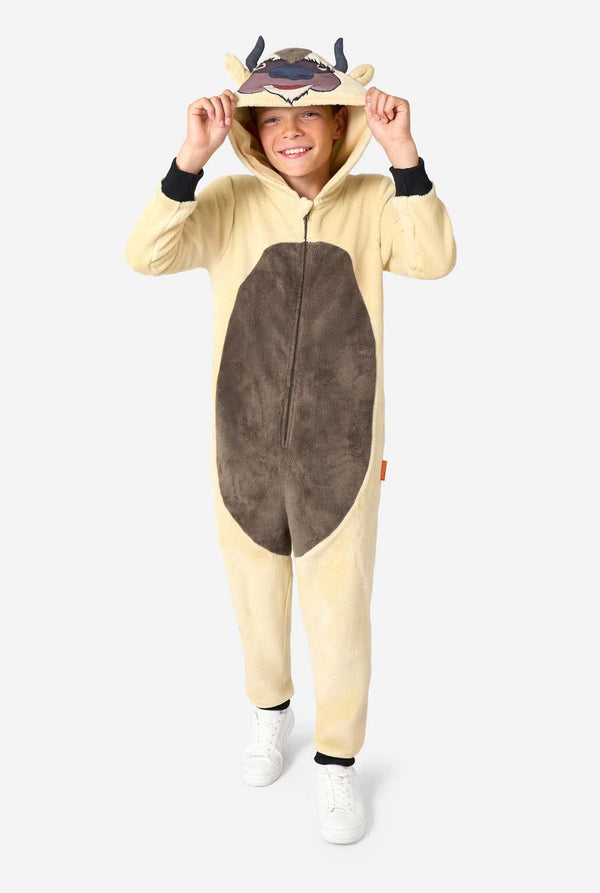 Child wearing a Appa-themed onesie on a white background
