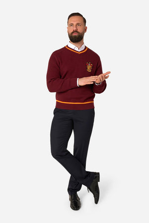 Harry Potter™ - Gryffindor - Sweater