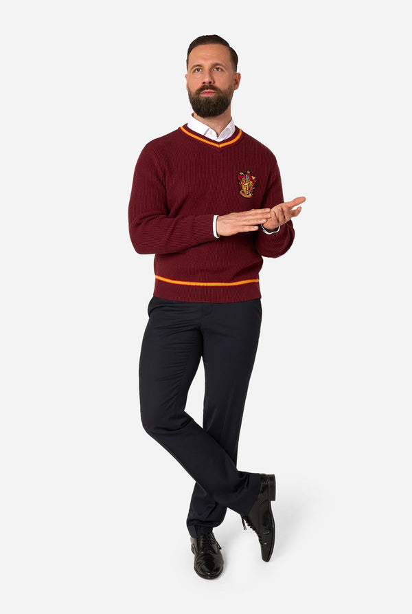 Harry Potter™ - Gryffindor - Sweater